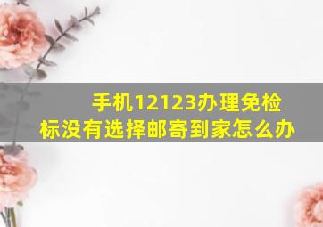 手机12123办理免检标没有选择邮寄到家怎么办