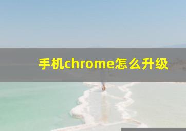 手机chrome怎么升级