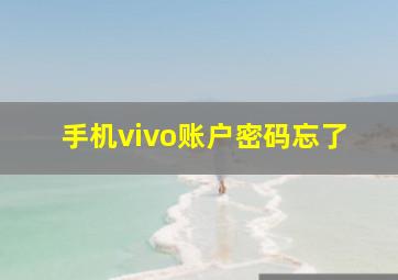 手机vivo账户密码忘了