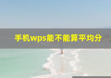 手机wps能不能算平均分