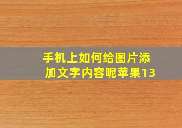 手机上如何给图片添加文字内容呢苹果13