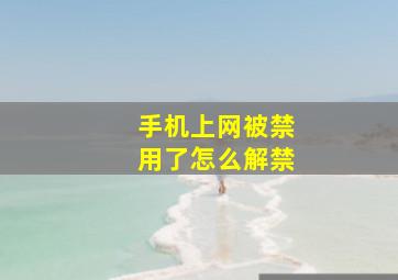 手机上网被禁用了怎么解禁