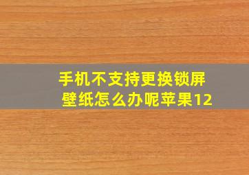 手机不支持更换锁屏壁纸怎么办呢苹果12