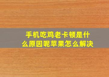 手机吃鸡老卡顿是什么原因呢苹果怎么解决