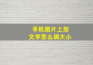 手机图片上加文字怎么调大小