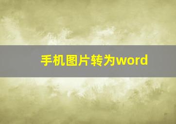 手机图片转为word