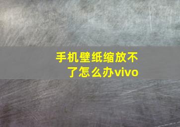 手机壁纸缩放不了怎么办vivo