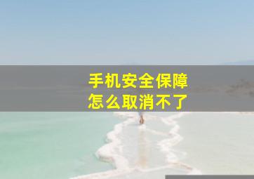 手机安全保障怎么取消不了