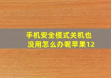 手机安全模式关机也没用怎么办呢苹果12