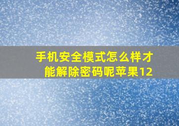 手机安全模式怎么样才能解除密码呢苹果12