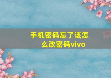 手机密码忘了该怎么改密码vivo