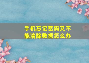 手机忘记密码又不能清除数据怎么办