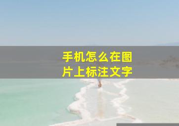 手机怎么在图片上标注文字