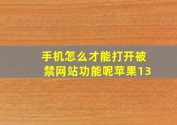 手机怎么才能打开被禁网站功能呢苹果13