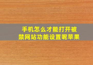 手机怎么才能打开被禁网站功能设置呢苹果