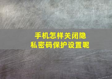 手机怎样关闭隐私密码保护设置呢