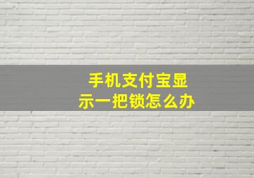 手机支付宝显示一把锁怎么办