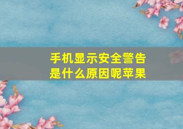 手机显示安全警告是什么原因呢苹果