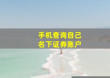 手机查询自己名下证券账户