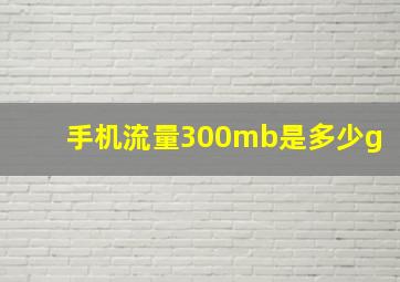 手机流量300mb是多少g