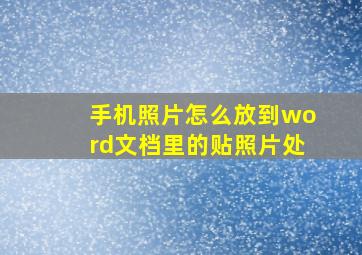 手机照片怎么放到word文档里的贴照片处