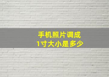 手机照片调成1寸大小是多少