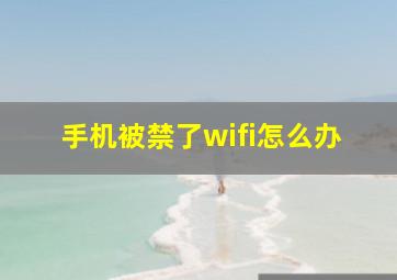 手机被禁了wifi怎么办