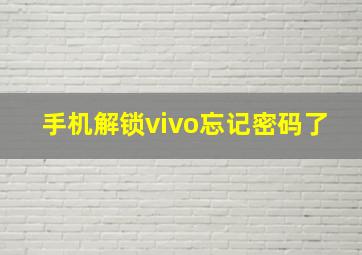 手机解锁vivo忘记密码了