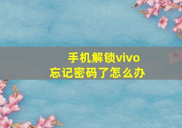 手机解锁vivo忘记密码了怎么办