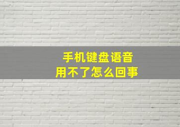 手机键盘语音用不了怎么回事