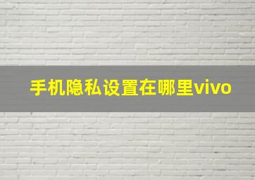 手机隐私设置在哪里vivo