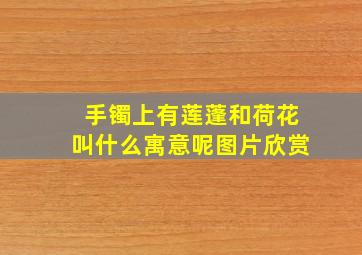 手镯上有莲蓬和荷花叫什么寓意呢图片欣赏