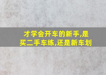 才学会开车的新手,是买二手车练,还是新车划