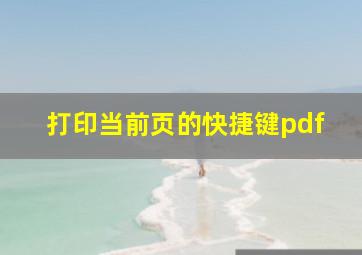 打印当前页的快捷键pdf