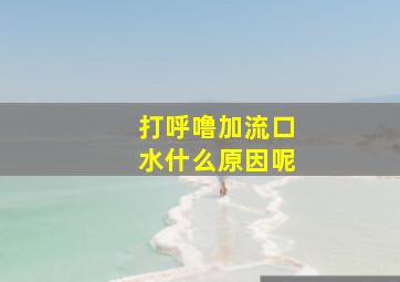 打呼噜加流口水什么原因呢