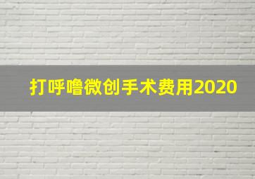 打呼噜微创手术费用2020