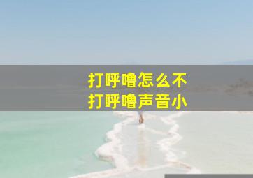 打呼噜怎么不打呼噜声音小