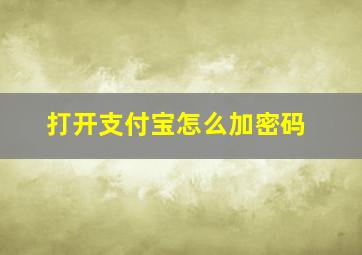 打开支付宝怎么加密码