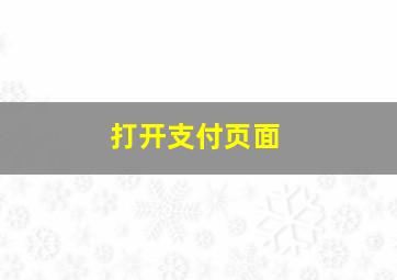 打开支付页面