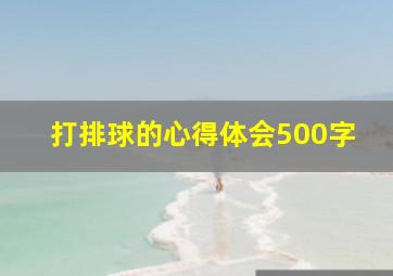 打排球的心得体会500字