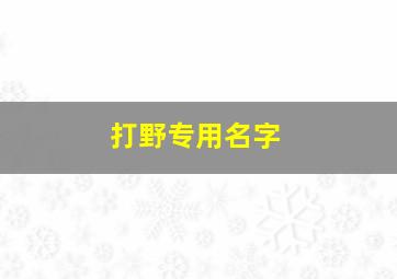 打野专用名字