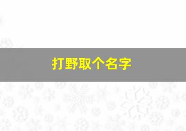 打野取个名字