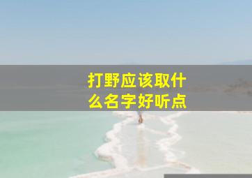 打野应该取什么名字好听点