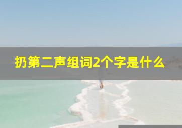 扔第二声组词2个字是什么