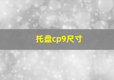 托盘cp9尺寸