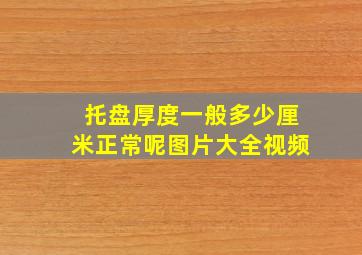 托盘厚度一般多少厘米正常呢图片大全视频