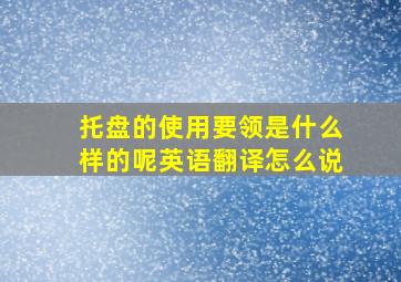 托盘的使用要领是什么样的呢英语翻译怎么说