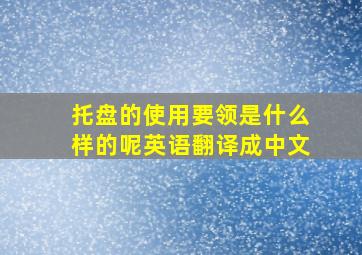 托盘的使用要领是什么样的呢英语翻译成中文