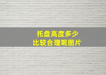 托盘高度多少比较合理呢图片