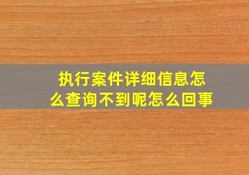 执行案件详细信息怎么查询不到呢怎么回事